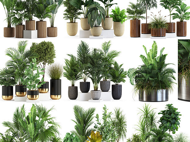 3D model Plants collection vol 07