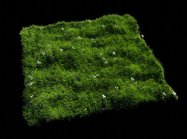 Grass Meadow including a collection of Grass 3D model