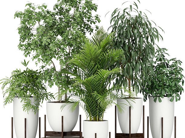 3D model Plants collection 350