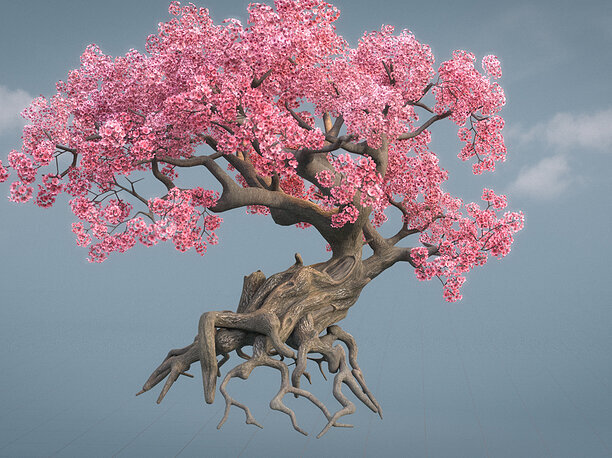 Ancient cherry blossoms or Sakura or Prunus 3D model 1