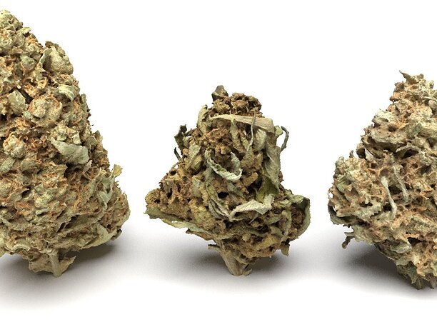 Cannabis Buds 3-Pack 3D smoke