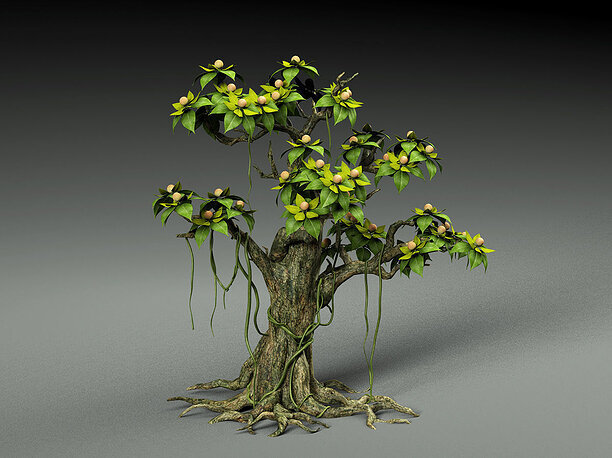 3D Cartoon Tree plant