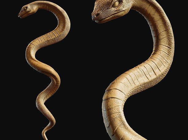 Medical symbol Asclepius - only Snake 3D print model