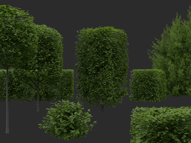 3D model Hedges and Shrubs Pack