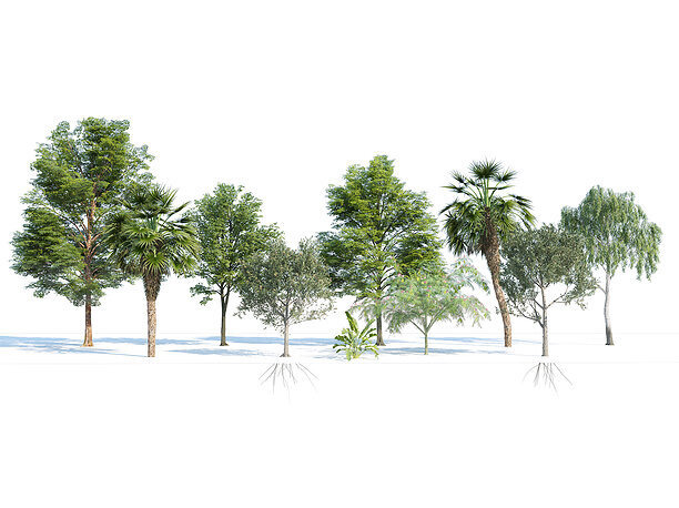 3D model game-ready Park trees collection