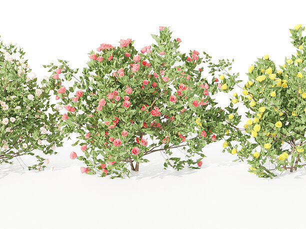flowering bushes collection vol 42-Blender 3D