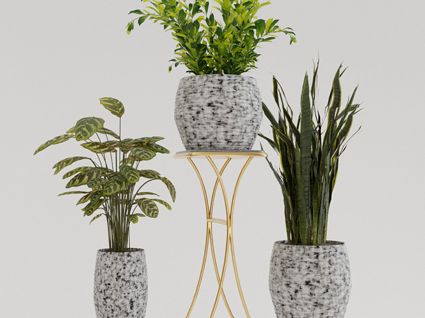 3D peperomioides Pots with Plants