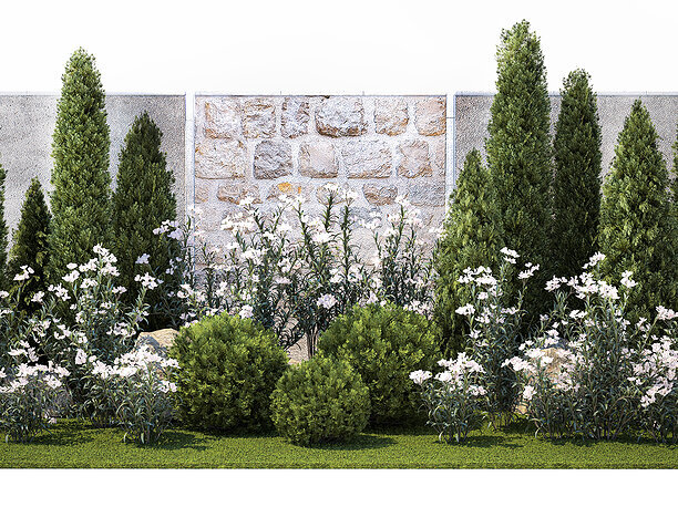 Garden with thuja cypress pine and Nerium oleander 3D 1
