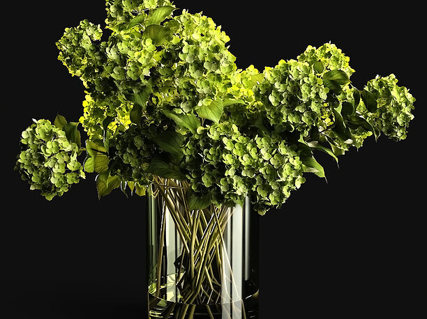 A bouquet of hydrangea 3D
