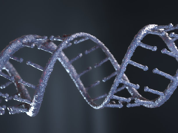 DNA PBR strand