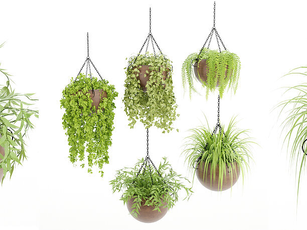 Hanging plant indoor collection vol 41-Blender 3D model