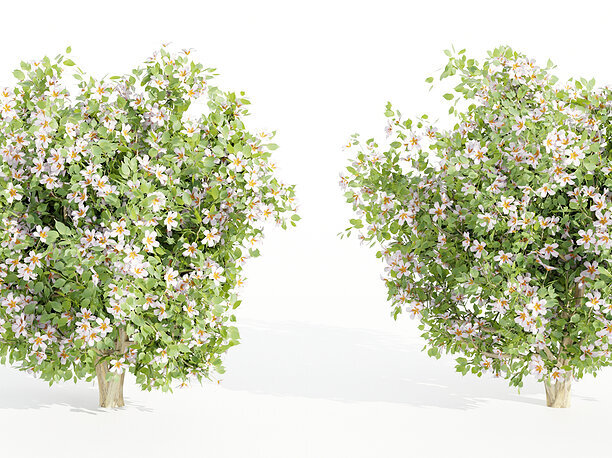 3D flowering bushes collection vol 50-Blender