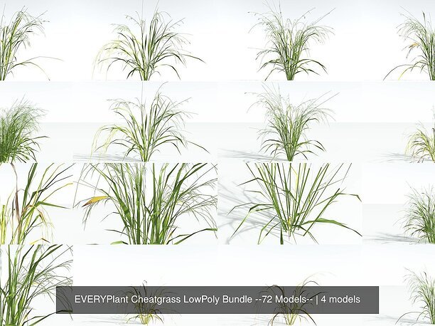 EVERYPlant Cheatgrass LowPoly Bundle --72 3D asset
